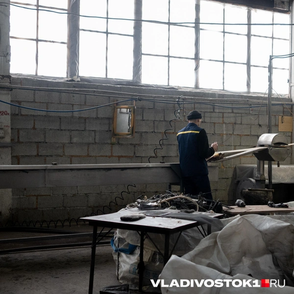 Источник: Елена Буйвол / VLADIVOSTOK1.RU