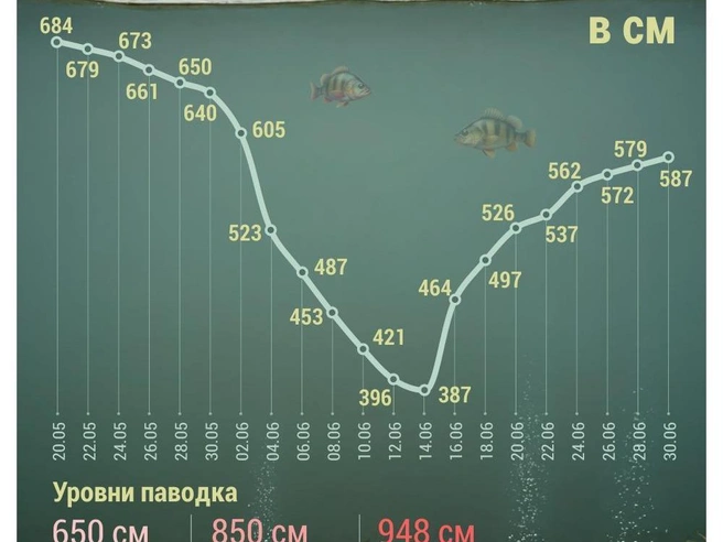 Источник: Дмитрий Гладышев / 72.RU