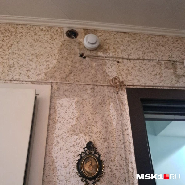 Источник: Арина Майорова / MSK1.RU