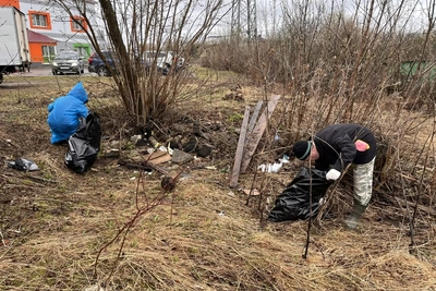 В Костроме подвели итоги общегородского субботника