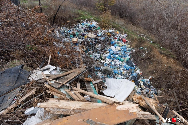 На дне оврага ситуация выглядит гораздо хуже | Источник: Алексей Волхонский / V1.RU