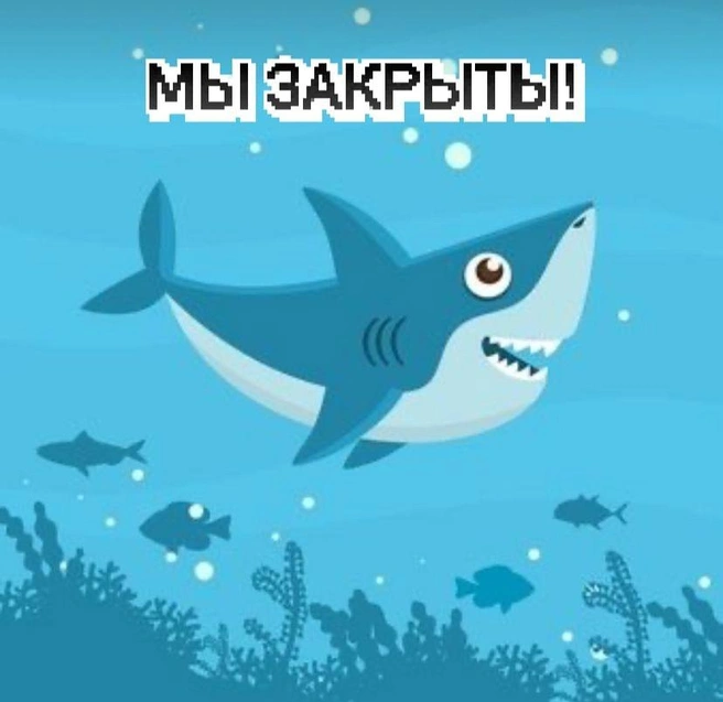 Причину прекращения работы в «Акула-парке» не назвали | Источник: Batut74 / Vk.com