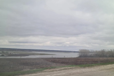 Уровни воды в Рязанской области: где падают, где растут