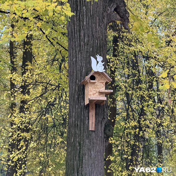 Источник: Сергей Петунин / YA62.RU