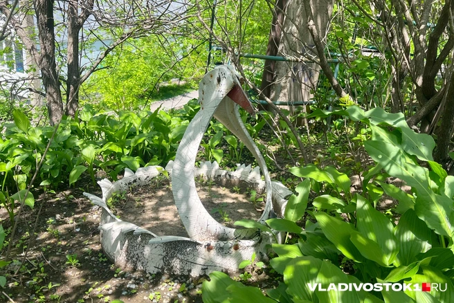 Источник: Елена Буйвол / VLADIVOSTOK1.RU