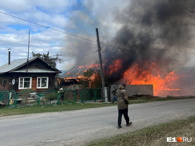 Причина столь мощного пожара — в сильном ветре | Источник: читательница E1.RU
