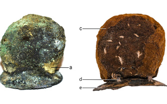 300-летний протез из шерсти и драгметаллов нашли археологи: кому это устройство облегчало жизнь?