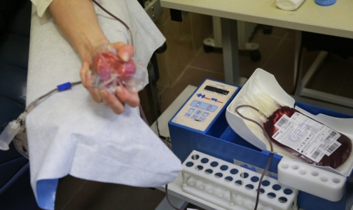 В Петербурге кадровых доноров крови собираются растить со школы