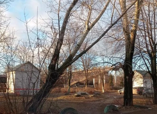 В Рязани городские службы устраняют последствия ураганного ветра | ya62.ru