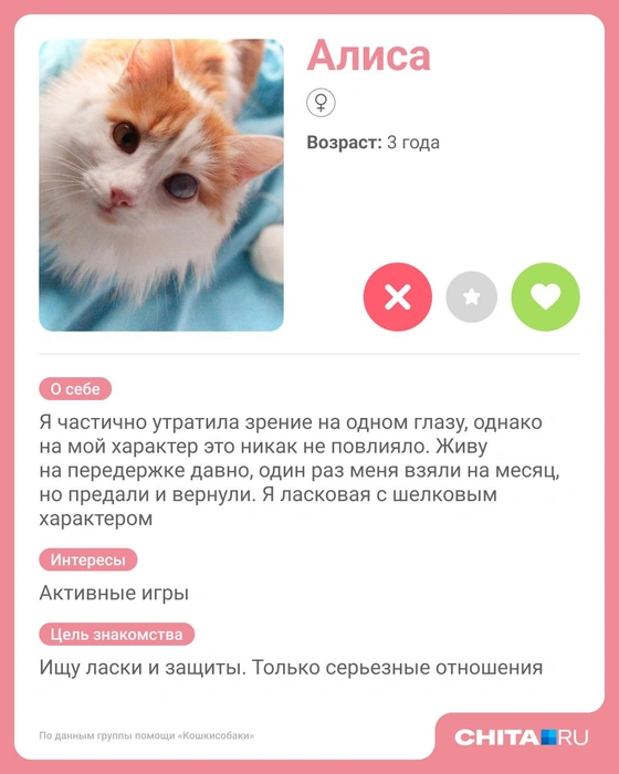 Источник: Юрий Скулыбердин / Городские медиа
