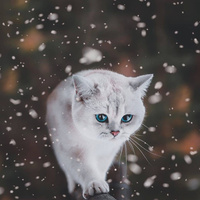 Аватарка Кристина