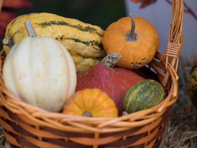 С первого раза тыква редко кому нравится. Однако ваше мнение изменится после дегустации наших блюд. | Источник: Евгений Вдовин / 161.RU