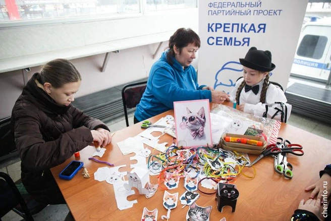 Источник: st.cherinfo.ru