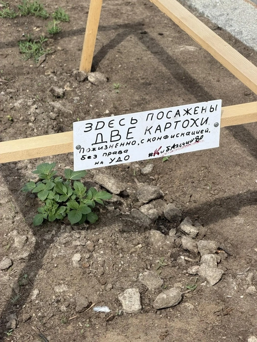 Источник: Сергей Михайличенко / FONTANKA.RU