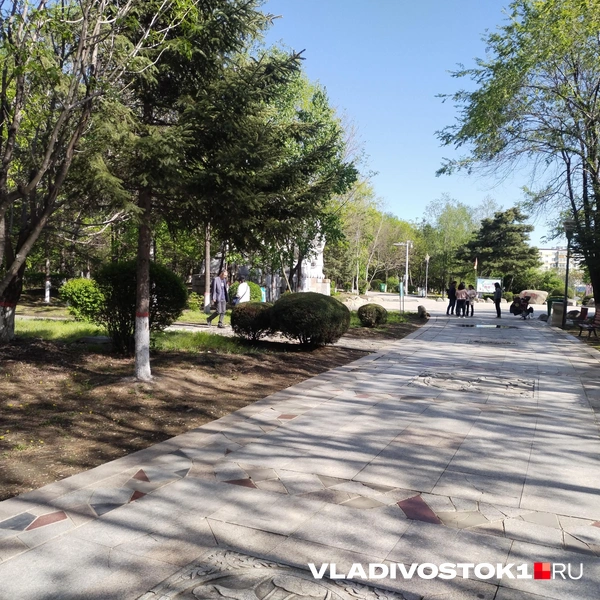 Источник: Екатерина Дымова / VLADIVOSTOK1.RU