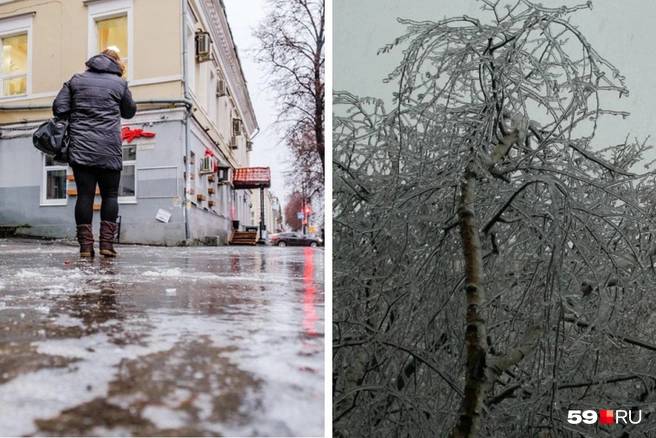 Слева — яркий пример гололедицы, справа — гололеда | Источник: METEOWEB.RU / dzen.ru; Тимофей Калмаков