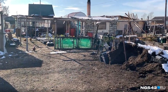 Помимо свиней семья содержит и других животных | Источник: Фотографии предоставлены семьей Польниковых