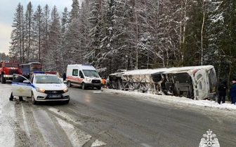 В Карелии перевернулся автобус с туристами: что известно