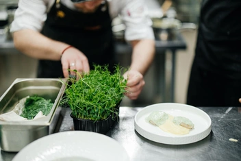 И ищут интересные сочетания между ними | Источник: Ксения Зимина