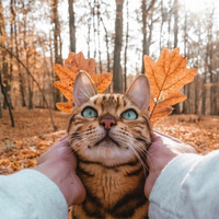 Аватарка Разливаю Масло