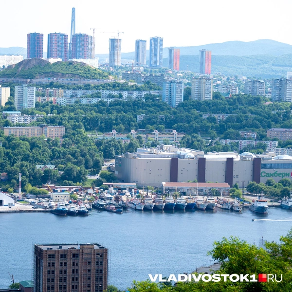 Источник: Алиса Князева / VLADIVOSTOK1.RU