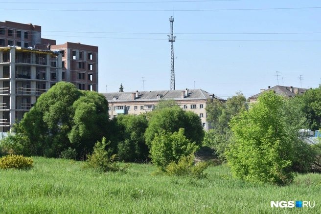 Привлекает жителей природная красота места, многие бы хотели, чтобы ее сохранили. Рядом, кстати, растет ЖК «Роза Ветров». Возле комплекса компания обещает благоустроить озеро Гладкое, которое будет доступно для всех жителей ОбьГЭС | Источник: Рихарда Лем / NGS.RU