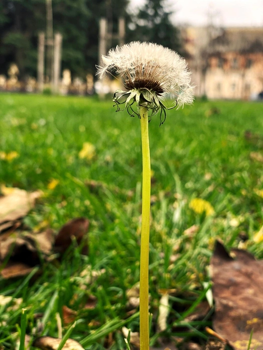 Источник: Юлия Воропаева