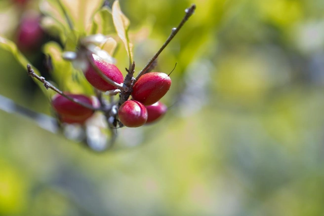 Источник: lisatop / iStock