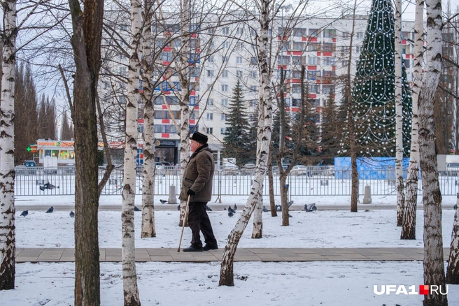 Гулять на свежем воздухе полезно | Источник: Булат Салихов / UFA1.RU