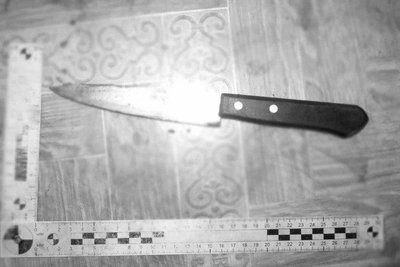 Житель Якутии осужден на 7,5 лет за убийство отца