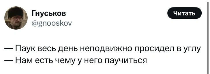 Источник: X (Twitter)