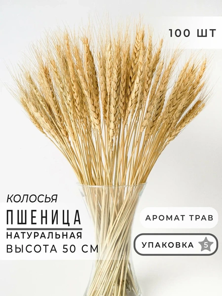 Натуральные Колосья Пшеницы