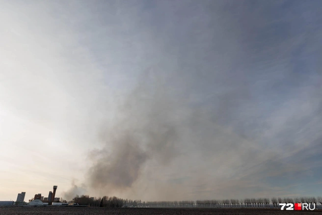 Источник: Ирина Шарова / 72.RU