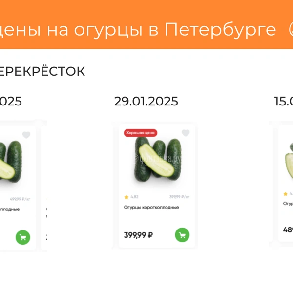 Источник: Светлана Григошина
