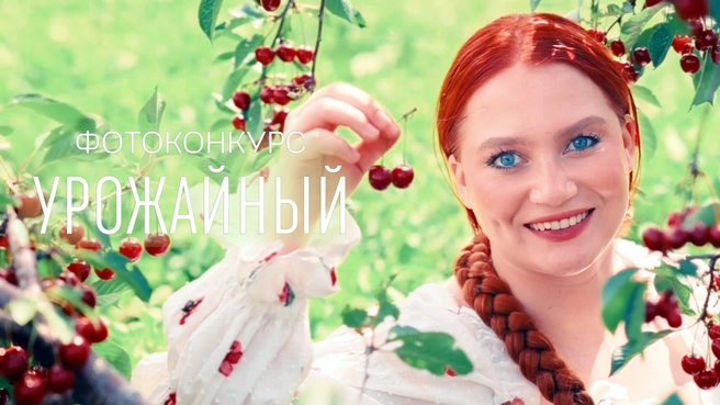 Концепция проекта заключается в демонстрации живописных сел | Источник: ТОАЗ