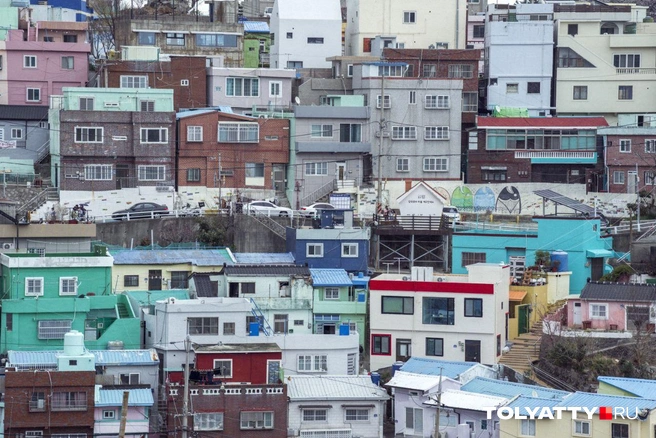 Южная Корея — страна во всех отношениях пестрая | Источник: Дмитрий Глазков