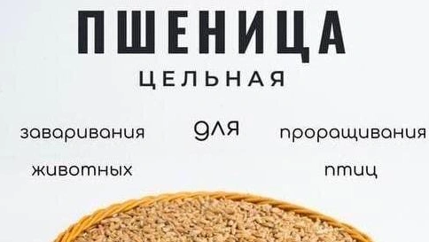 19 картинок недели и посадочный билет на одно лицо