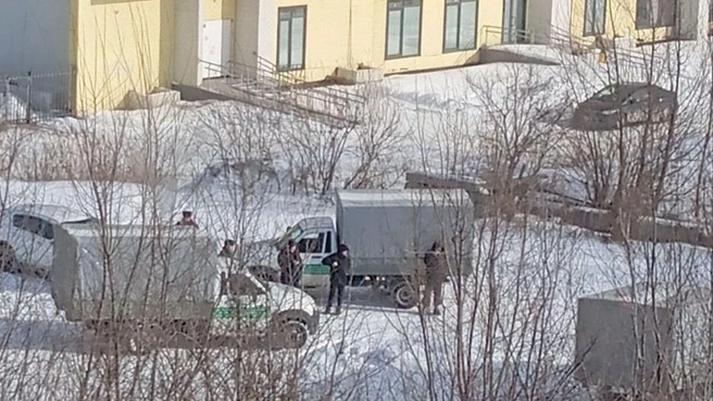 Во дворе стояли сразу две машины службы отлова | Источник: читатель 74.RU