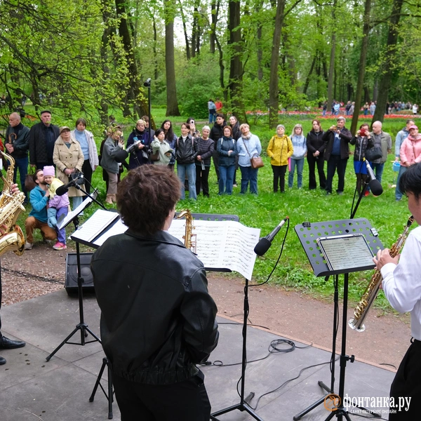 Источник: Анжела Мнацаканян / FONTANKA.RU