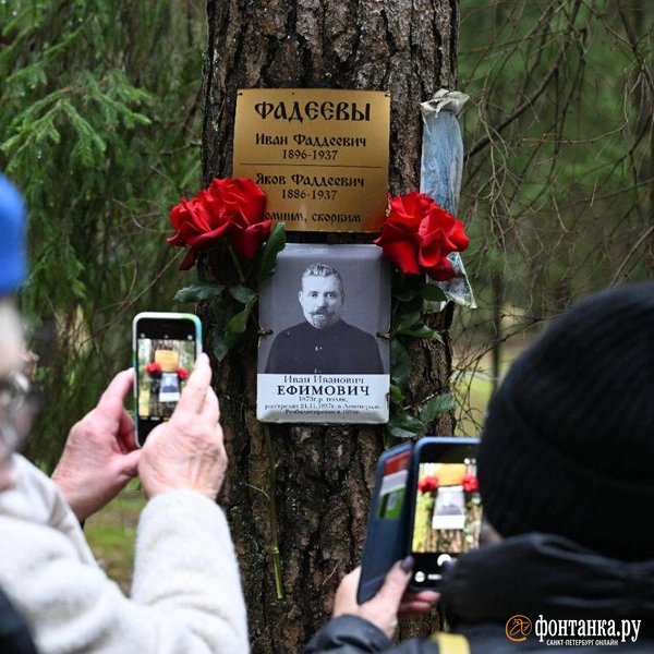 Источник: Андрей Бок / «Фонтанка.ру»