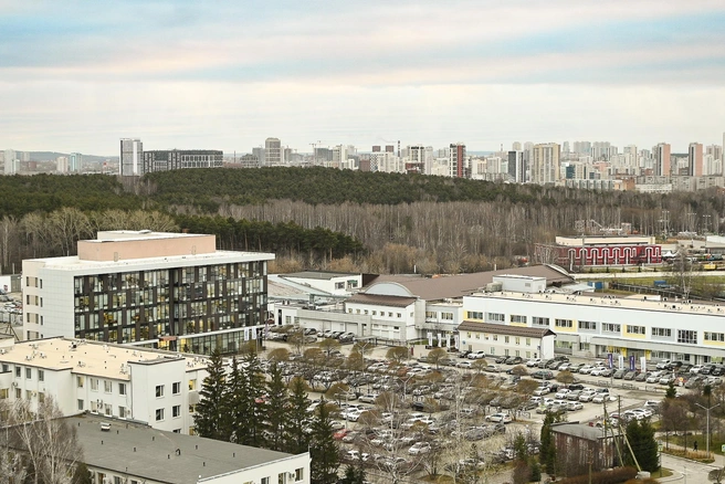 В той части парка, которую прекрасно видно из окон первого дома, уже начали обустраивать экотропы и новый пешеходный маршрут — инвестором выступает застройщик | Источник: Максим Воробьев