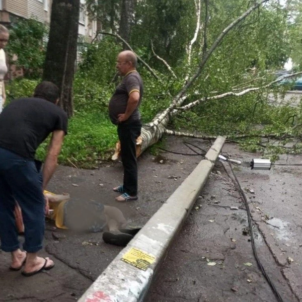 ЧП с ребёнком случилось во дворе жилого дома | Источник: прокуратура Ярославской области / T.me