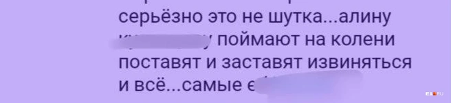Алине, про которую идет речь в сообщениях, всего 14 лет | Источник: Читатель E1.RU