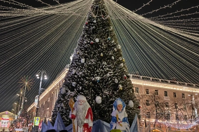 В Кургане открыли главную новогоднюю ёлку