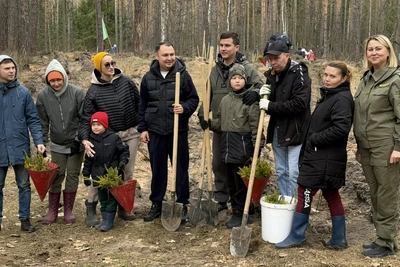 Сотрудники Госкомитета РТ присоединились к акции «Сад памяти»