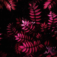 Аватарка Анастасия