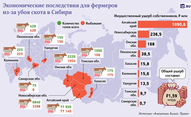 Меньше всего животных погибло в Самарской области | Источник: iz.ru