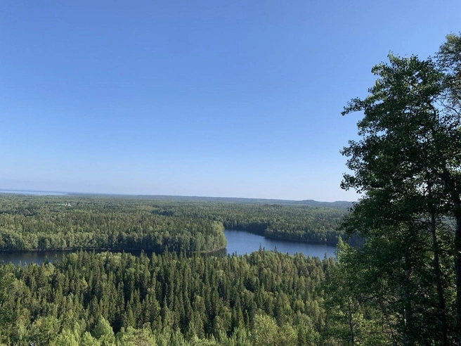 Вид с Секирной горы | Источник: «Фонтанка.ру»