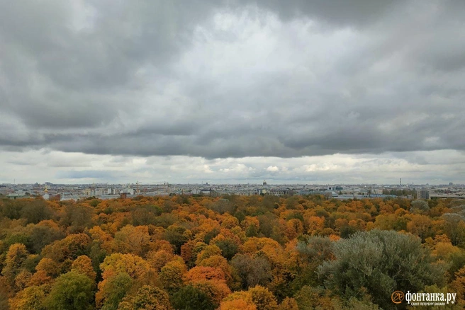Погода в Петербурге будет меняться. Готовимся к заморозкам | Источник: Михаил Огнев / «Фонтанка.ру»