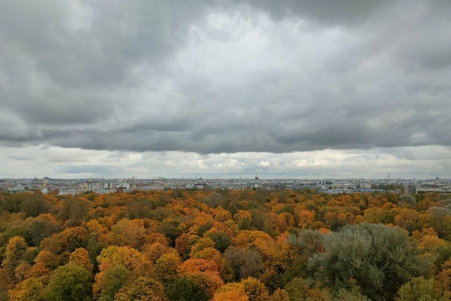 Снова теплый выходной. В Петербурге потеплеет до +9 | Источник: Михаил Огнев / «Фонтанка.ру»